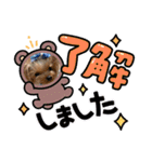 ヨーキーのマナちゃん②（個別スタンプ：6）