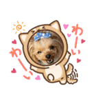 ヨーキーのマナちゃん②（個別スタンプ：12）