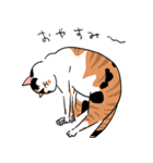 三毛猫のぽんず（個別スタンプ：4）