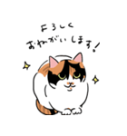三毛猫のぽんず（個別スタンプ：5）