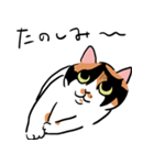 三毛猫のぽんず（個別スタンプ：7）