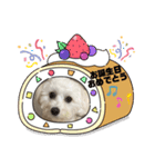 mokako5（個別スタンプ：3）