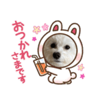 mokako5（個別スタンプ：5）