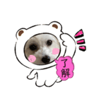 mokako5（個別スタンプ：6）