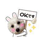 mokako5（個別スタンプ：7）