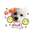 mokako5（個別スタンプ：9）