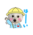 mokako5（個別スタンプ：10）