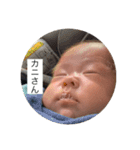 惺那たん（個別スタンプ：1）