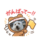 こんにちは！りくです！2（個別スタンプ：11）