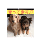 4歳がもっと語りかけてくる（個別スタンプ：10）
