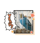 ピーちゃん ♡（個別スタンプ：12）