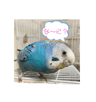ピーちゃん ♡（個別スタンプ：13）