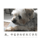 とあるおうちのAとP part2（個別スタンプ：5）