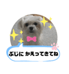 とあるおうちのAとP part2（個別スタンプ：16）