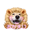 OZIDOG！（個別スタンプ：1）