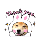 OZIDOG！（個別スタンプ：5）