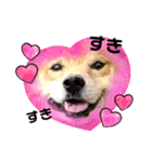 OZIDOG！（個別スタンプ：8）
