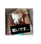 りんこうすたんぷ（個別スタンプ：5）