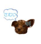 ファニ子（個別スタンプ：2）