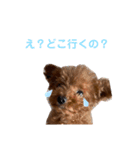 ファニ子（個別スタンプ：4）
