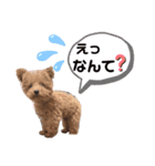 ファニ子（個別スタンプ：5）