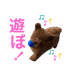 ファニ子（個別スタンプ：6）