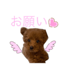 ファニ子（個別スタンプ：7）