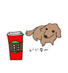 カフェ/飲み物/犬（個別スタンプ：1）