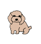 カフェ/飲み物/犬（個別スタンプ：24）