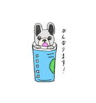 カフェ/飲み物/犬（個別スタンプ：25）