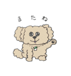 カフェ/飲み物/犬（個別スタンプ：31）