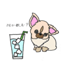 カフェ/飲み物/犬（個別スタンプ：34）