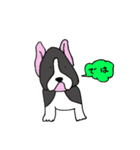カフェ/飲み物/犬（個別スタンプ：38）