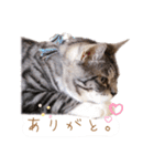 りつの「ホントはこう思っている。」（個別スタンプ：13）