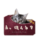 りつの「ホントはこう思っている。」（個別スタンプ：18）