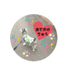 シナちゃんスタンプ♪（個別スタンプ：4）