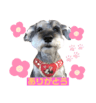 シナちゃんスタンプ♪（個別スタンプ：8）