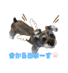 シナちゃんスタンプ♪（個別スタンプ：14）