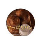 ワンコとたまに使う言葉（個別スタンプ：13）