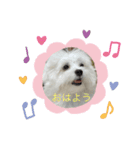 くららです❣️（個別スタンプ：2）
