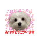 くららです❣️（個別スタンプ：5）