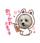 くららです❣️（個別スタンプ：6）
