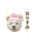りんちゃんのあいさつ。(タメ語)（個別スタンプ：2）