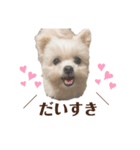 りんちゃんのあいさつ。(タメ語)（個別スタンプ：7）