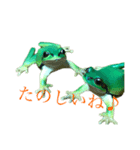 かえるが鳴く（個別スタンプ：7）