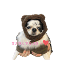 お兄さん家のわんわんず（個別スタンプ：9）