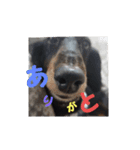 ぷよ〜写真集〜（個別スタンプ：7）