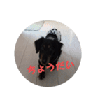 ぷよ〜写真集〜（個別スタンプ：8）