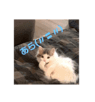 フレイヤの日常（個別スタンプ：2）