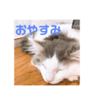 フレイヤの日常（個別スタンプ：4）